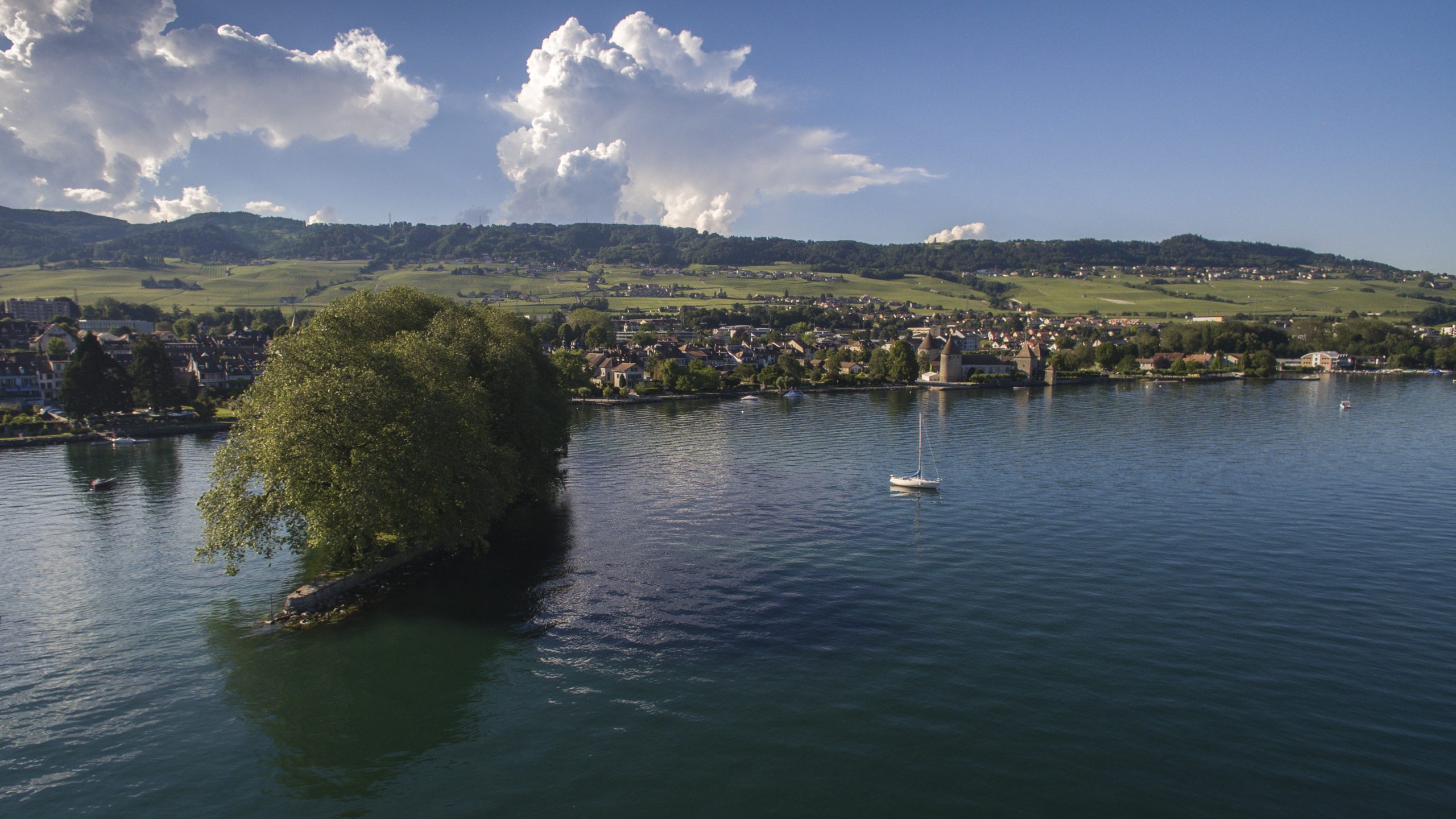 PV Assemblée générale 2025